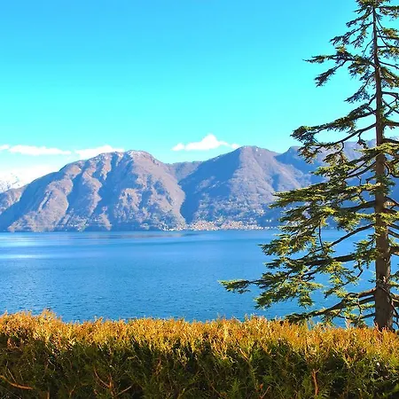 Palm Bay Garden * Sala Comacina