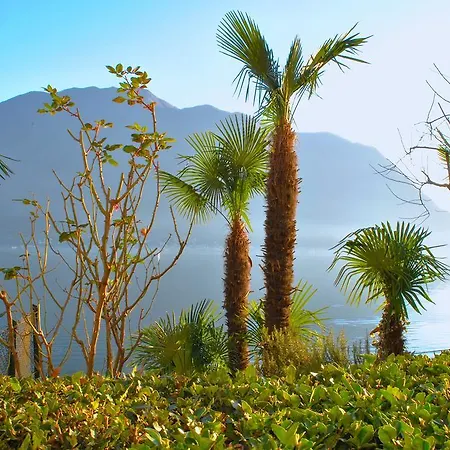Апартаменты Palm Bay Garden