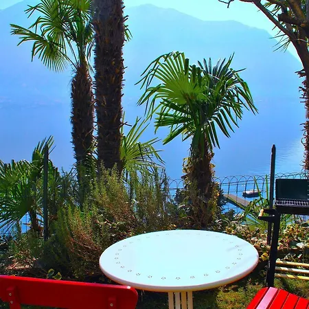 Palm Bay Garden *