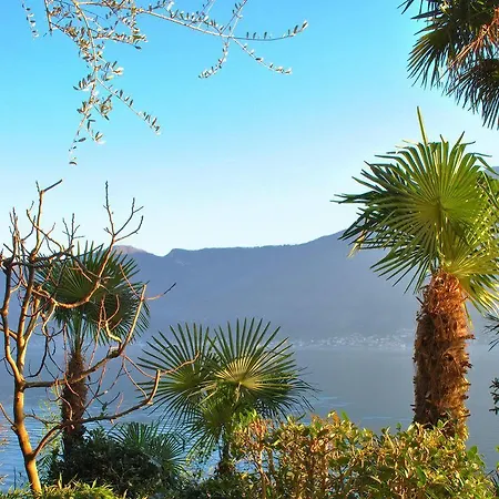 Palm Bay Garden * Sala Comacina