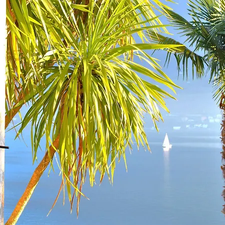 Palm Bay Garden Appartement