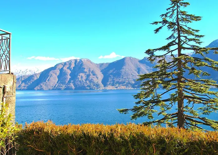 Palm Bay Garden * Sala Comacina