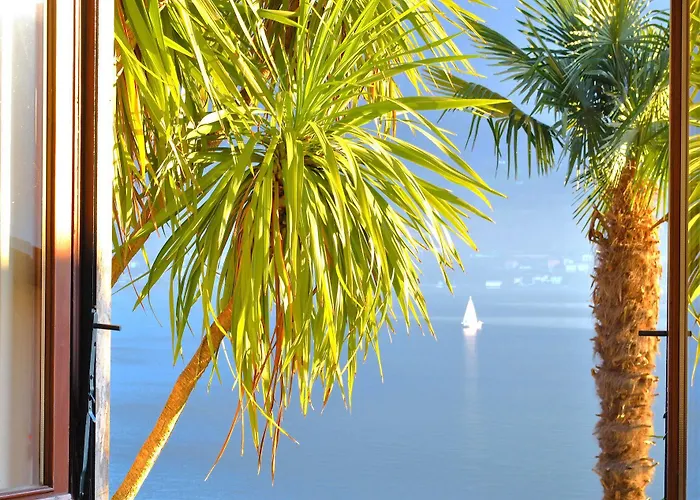 Palm Bay Garden Appartement