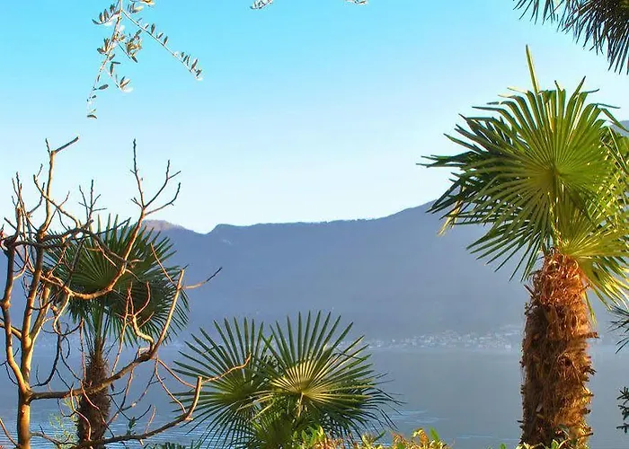 Palm Bay Garden * Sala Comacina